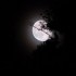Douce lune