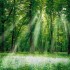 Ecology