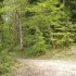 Promenade dans les bois Epeugn