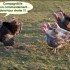 c,est repartis!!