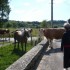SUR LA ROUTE DU BUGEY