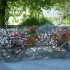 SUR LA ROUTE DU BUGEY