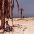 D'OASIS EN MOSQUEES...