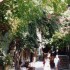 SUR L'ILE D'APHRODITE...