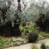 SUR LES CHEMINS DE CROIX...
