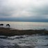 ENTRE SAVANE ET VIE SAUVAGE...