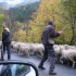 LES BARCELONNETTES...