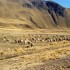 SUR LA TRACE DES INCAS...