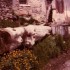 G COMME GUILLESTRE