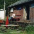 SUR LES TRACES DES VIKING...