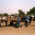 S COMME SENEGAL