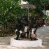 S COMME SENEGAL