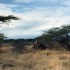 K COMME KENYA