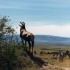 K COMME KENYA