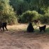 K COMME KENYA