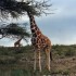 K COMME KENYA