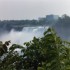 N COMME NIAGARA