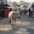J COMME JAIPUR