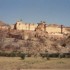 J COMME JAIPUR