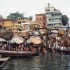 B COMME BENARES