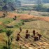 C COMME CAMPAGNE NEPALAISE
