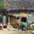 C COMME CAMPAGNE NEPALAISE