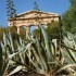 S COMME SEGESTE - SICILE
