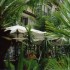 P COMME PALERME - SICILE