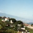 C COMME CANARIES