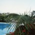 C COMME CANARIES