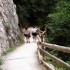 DANS LES GORGES DE LA BOURNE..