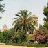 A COMME ANDALOUSIE - SUITE
