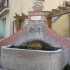 LA DRACENIE...