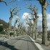 LE PLATEAU DE L'ARDECHE...