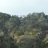 LE PLATEAU DE L'ARDECHE...