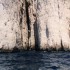 C COMME CASSIS