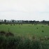 C COMME CAMARGUE