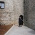 SUR LES TRACES DES TEMPLIERS D