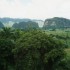 P COMME PINAR DEL RIO