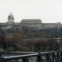 B COMME BUDAPEST