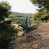 P COMME PORQUEROLLES