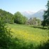 DANS LA VALLEE DE LA CLAREE...