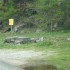 DANS LA VALLEE DE LA CLAREE...