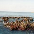 S COMME SAO VICENTE