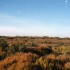 C COMME CAMARGUE