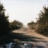 C COMME CAMARGUE