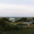 C COMME CAMARGUE