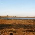 C COMME CAMARGUE