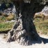 P COMME PONT DU GARD