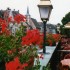 A COMME ALSACE